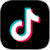 Lionel's Lab TikTok page